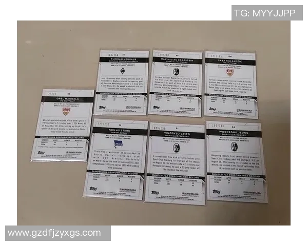 德甲足球球星卡收藏趋势与价值解析全面探索球迷热爱的独特魅力 德甲足球球星卡收藏趋势与价值解析全面探索球迷热爱的独特魅力